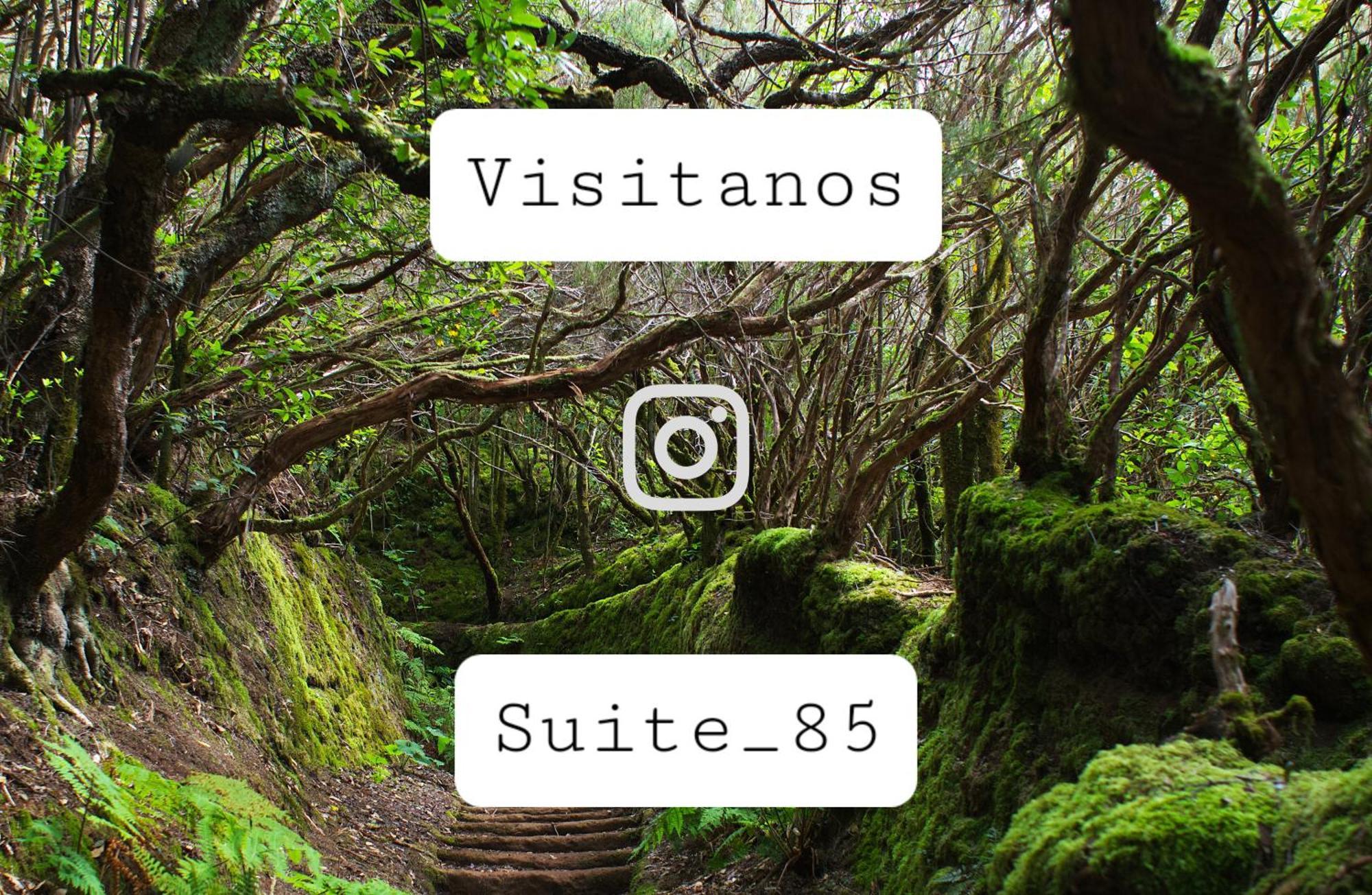 Suite 85, Villa Boutique Privada Con Piscina イコー・デ・ロス・ビノス エクステリア 写真